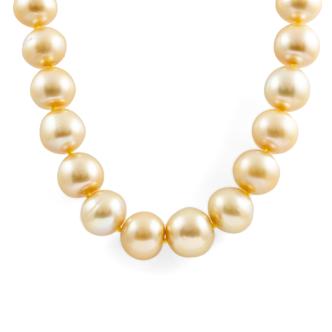 11.2-14.9mm Gold South Sea Pearl Necklace